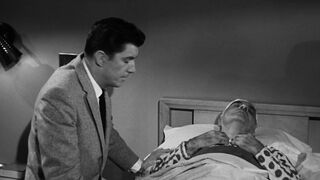 The Wasp Woman [Theatrical Release] - 1959