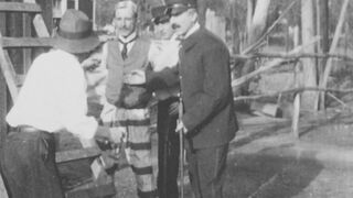 A Beast at Bay - 1912