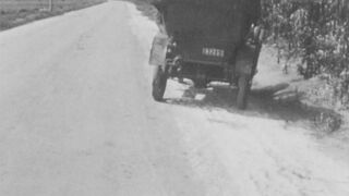 A Beast at Bay - 1912