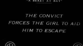A Beast at Bay - 1912