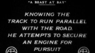 A Beast at Bay - 1912