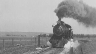 A Beast at Bay - 1912