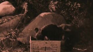 The Lost World - 1925