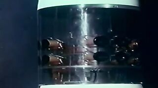 Voyage to the Planet of Prehistoric Women - 1968