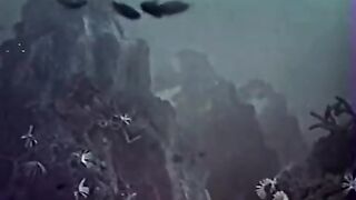 Voyage to the Planet of Prehistoric Women - 1968