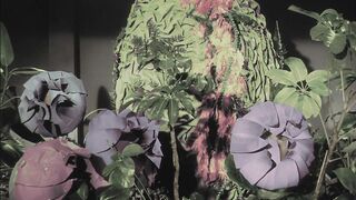 The Little Shop of Horrors - 1960