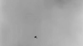 Hell’s Angels - 1930