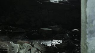 The Cosmonaut - 2013