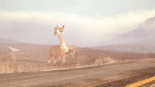Caminandes: Llama Drama - 2013