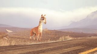 Caminandes: Llama Drama - 2013