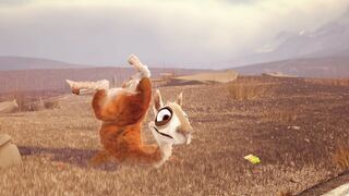 Caminandes: Llama Drama - 2013