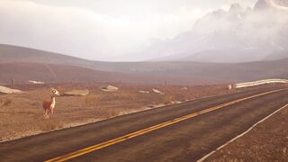 Caminandes: Llama Drama - 2013