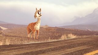 Caminandes: Llama Drama - 2013