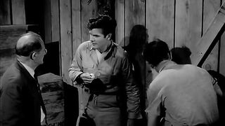 The Killer Shrews - 1959