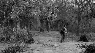 The Killer Shrews - 1959