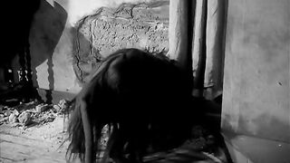 The Killer Shrews - 1959