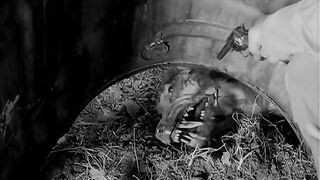 The Killer Shrews - 1959