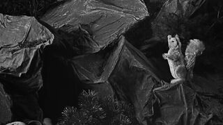Mary and Gretel - 1917