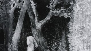 La vie et la passion de Jésus-Christ - 1898