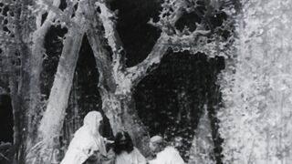 La vie et la passion de Jésus-Christ - 1898