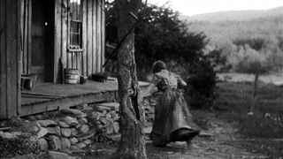 The Mountaineer's Honor - 1916