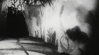 The Cabinet of Dr. Caligari - 1920