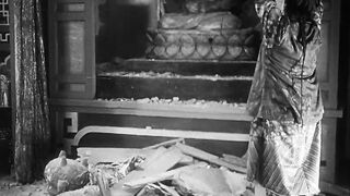Mysterious Dr. Fu Manchu - 1929