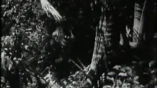 20,000 Leagues Under the Sea - 1916